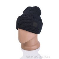 Шапка T.e north face синяя для мужчин