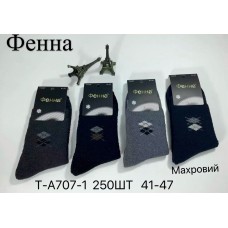 Чоловічі теплі махрові шкарпетки Фенна T-A707-1