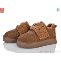 Кросівки PLPS GF2647 caramel для жінок