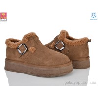 Туфлі PLPS GF2651 карамельного кольору