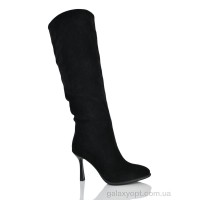 Сапоги Lilin shoes для жінок