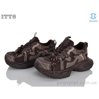 Кросівки ITTS для жінок коричневого кольору
