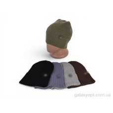 Зимова шапка T.e north face для чоловіків