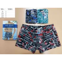 Мужские трусы боксеры SD.BOY Y001 бамбук сетка с перфорацией XL-4XL оптом