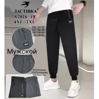 Мужские спортивные брюки Ластівка A2076-19 54–62 оптом