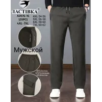 Мужские спортивные брюки Ластівка A2076-16 54–62 оптом