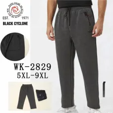 Чоловічі спортивні штани WK-2829 5XL-9XL оптом