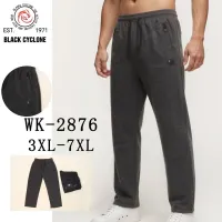 Чоловічі спортивні штани WK-2876 3XL-7XL оптом