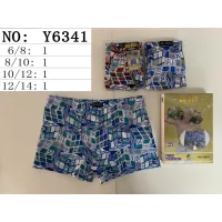 Подростковые трусы боксеры SD.BOY Y6341 6-14 лет с принтом оптом